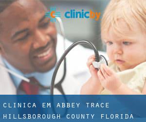 clínica em Abbey Trace (Hillsborough County, Florida)