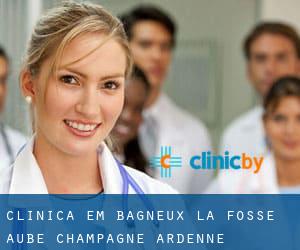 clínica em Bagneux-la-Fosse (Aube, Champagne-Ardenne)