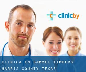 clínica em Bammel Timbers (Harris County, Texas)
