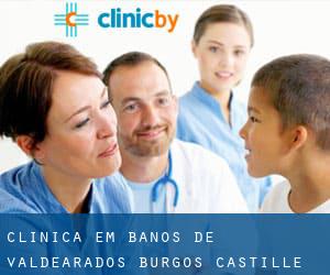 clínica em Baños de Valdearados (Burgos, Castille and León)