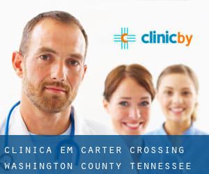 clínica em Carter Crossing (Washington County, Tennessee)