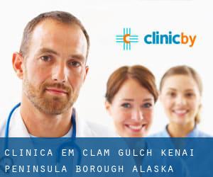 clínica em Clam Gulch (Kenai Peninsula Borough, Alaska)