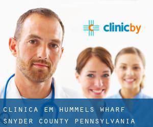 clínica em Hummels Wharf (Snyder County, Pennsylvania)