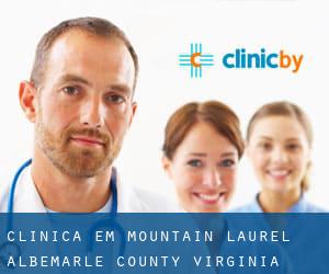 clínica em Mountain Laurel (Albemarle County, Virginia)