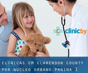 clínicas em Clarendon County por núcleo urbano - página 1