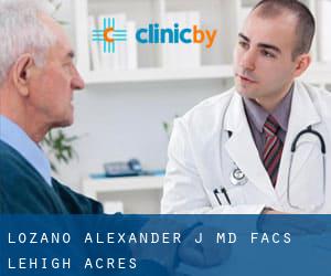 Lozano Alexander J MD Facs (Lehigh Acres)