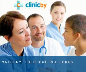 Matheny Theodore MD (Forks)